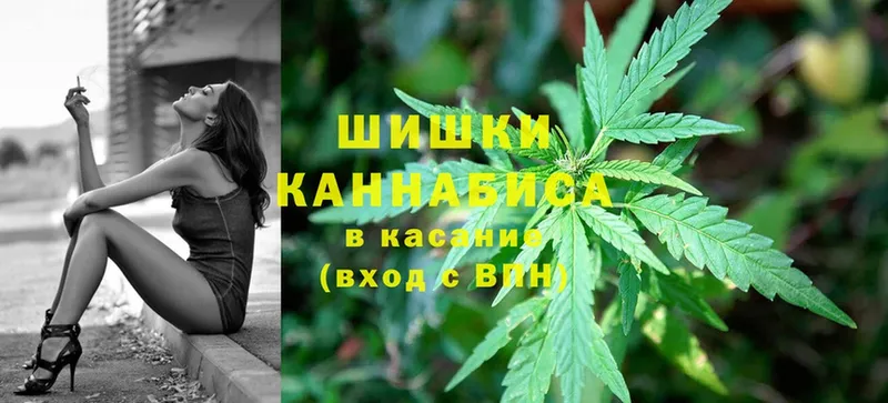 как найти закладки  Липки  Канабис OG Kush 